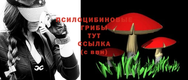 экстази Касимов