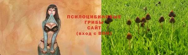 МДМА Карпинск